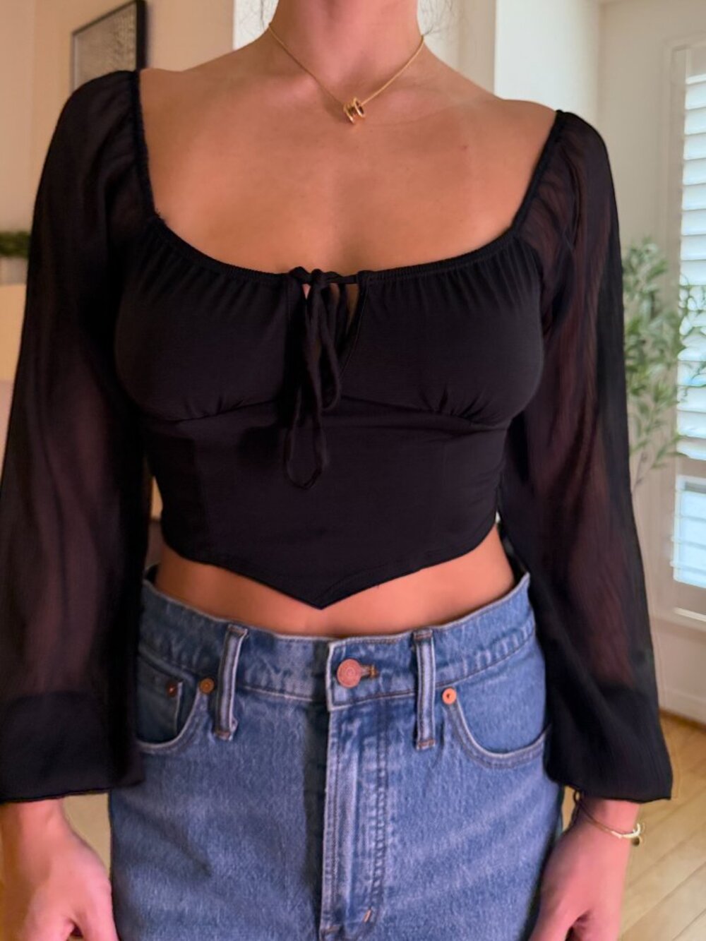 Blue Rain Black Sheer Sleeve Tie Front Crop Top – Corset Style (Size S) - Picture 2 of 5